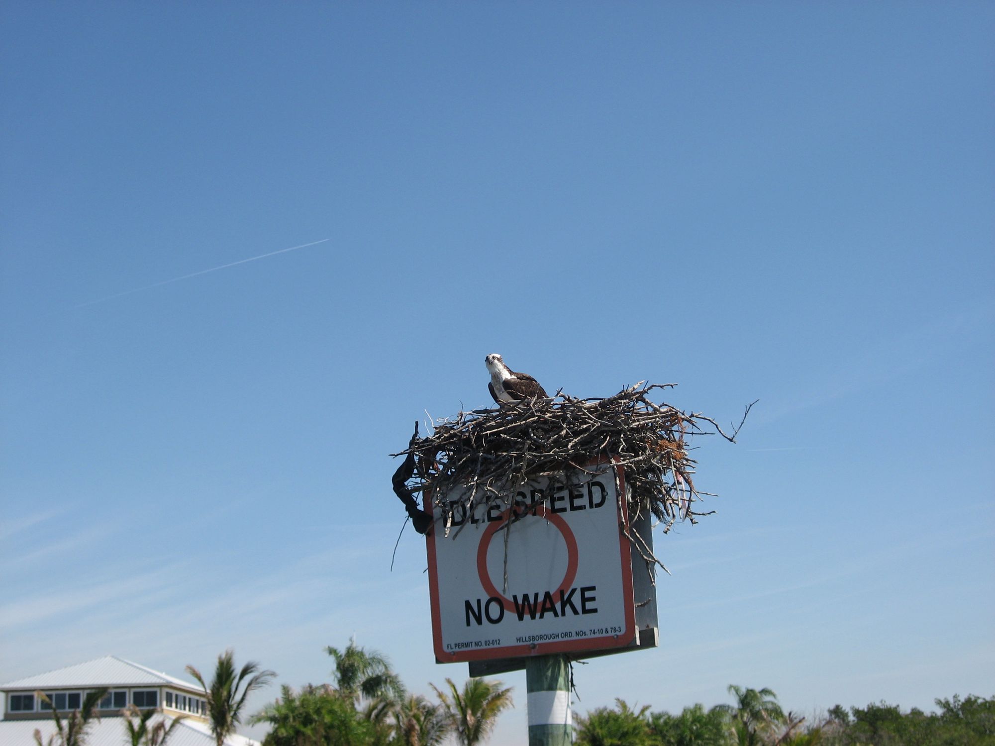 Osprey Nest on a Sign by Mrs. Gemstone, Flickr