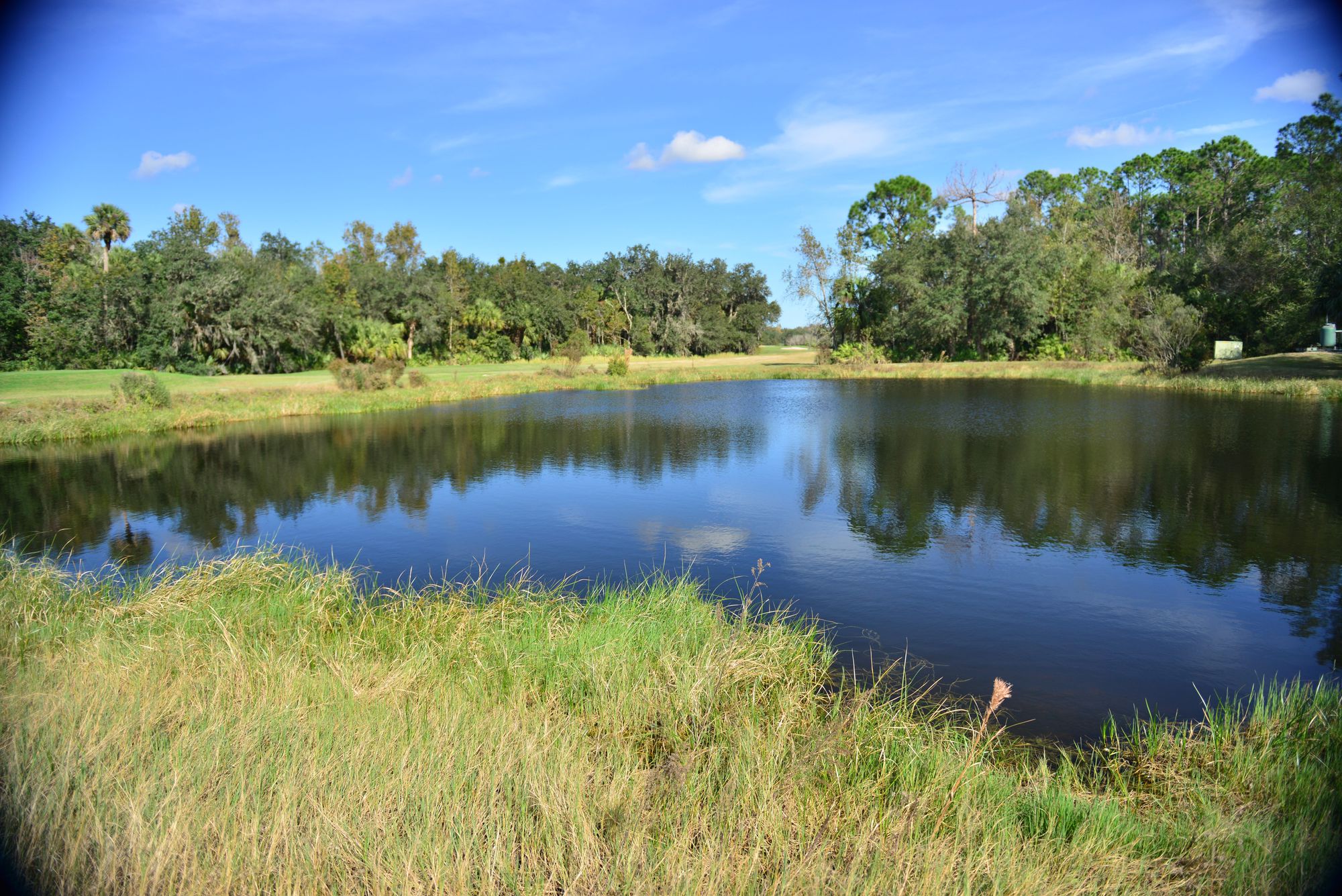 Florida golf course pond by Centrilobular, Flickr