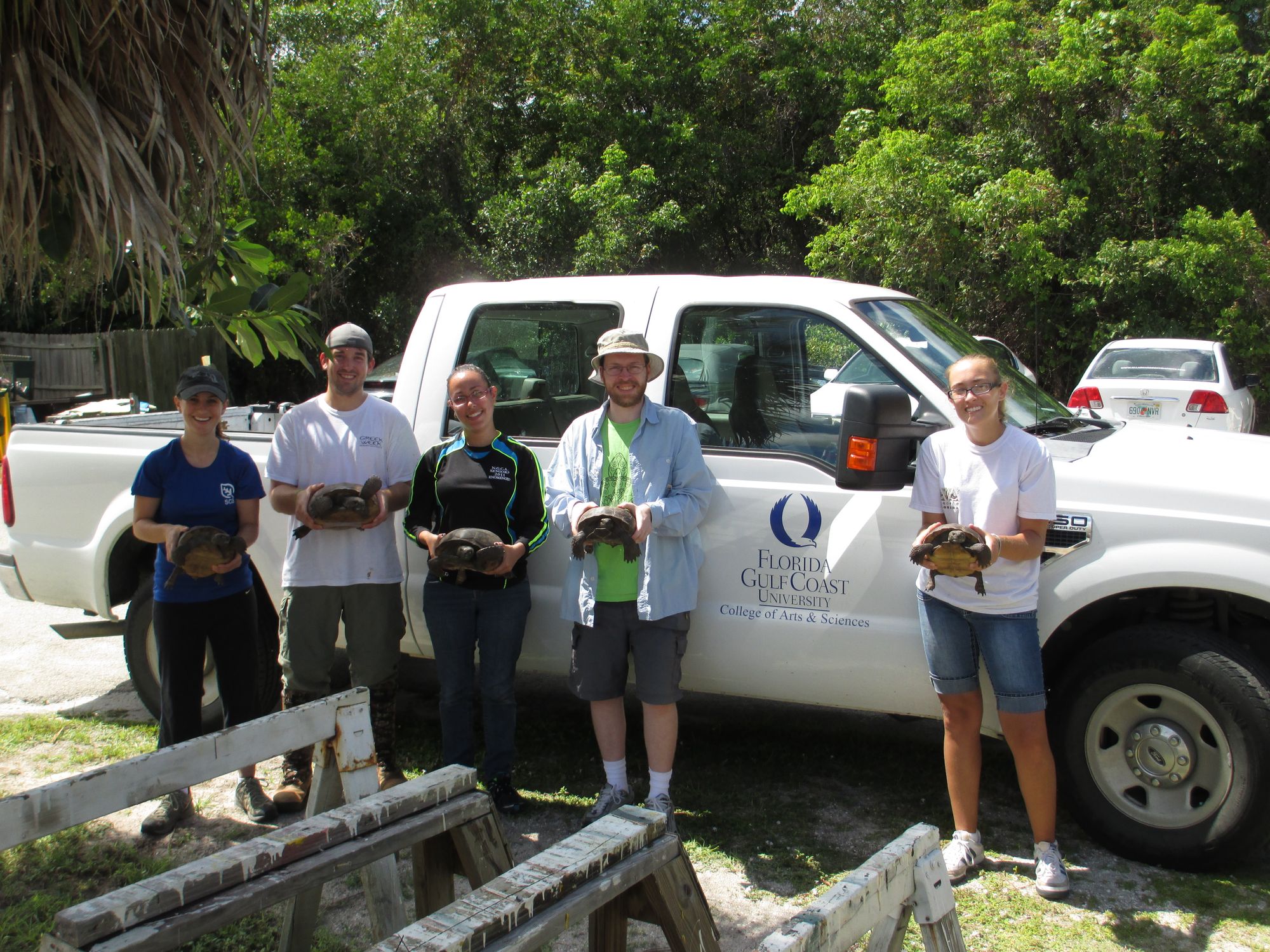 FGCU Herpetology Lab with Gopher Tortoises by Derek de Witt